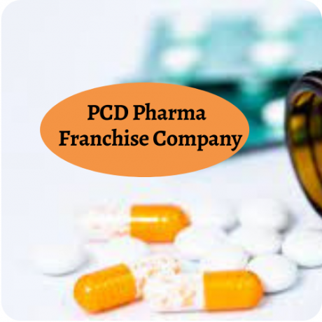 Chandigarh Based Pharmaceutical Companies Franchise 1