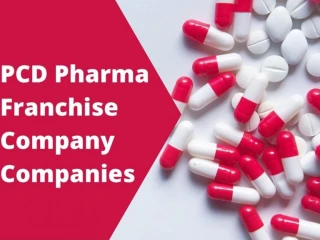 PCD Pharma Franchise Company Companies