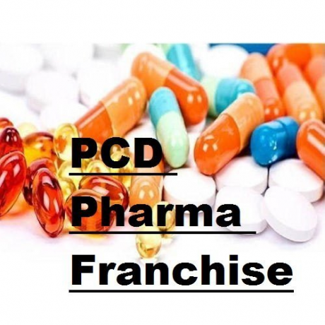 Haryana Based Medicine Franchise Company List 1