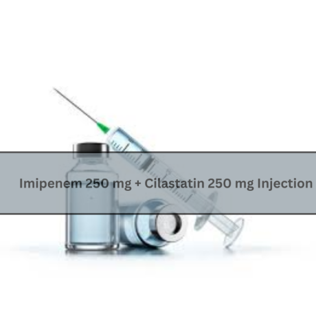 Imipenem 250 mg and Cilastatin 250 mg Injection Third Party Manufacturers & Suppliers 1